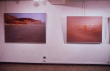 Esposizioni - eventi